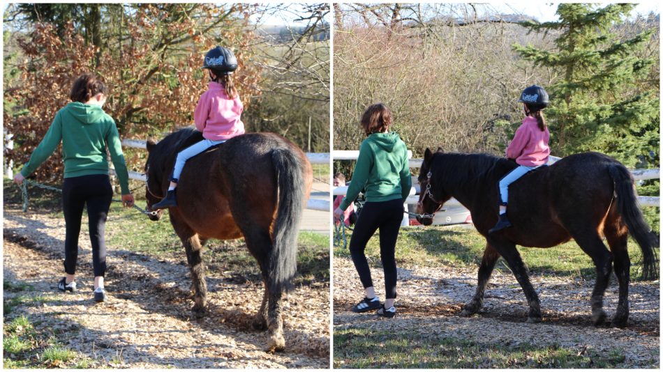 Ponyreiten gehört auf Hof Hardthöhe zum Programm