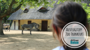 Tierischer Spaß im Zoo Frankfurt
