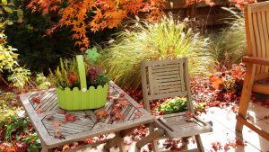 Herbst-Impressionen aus dem Garten