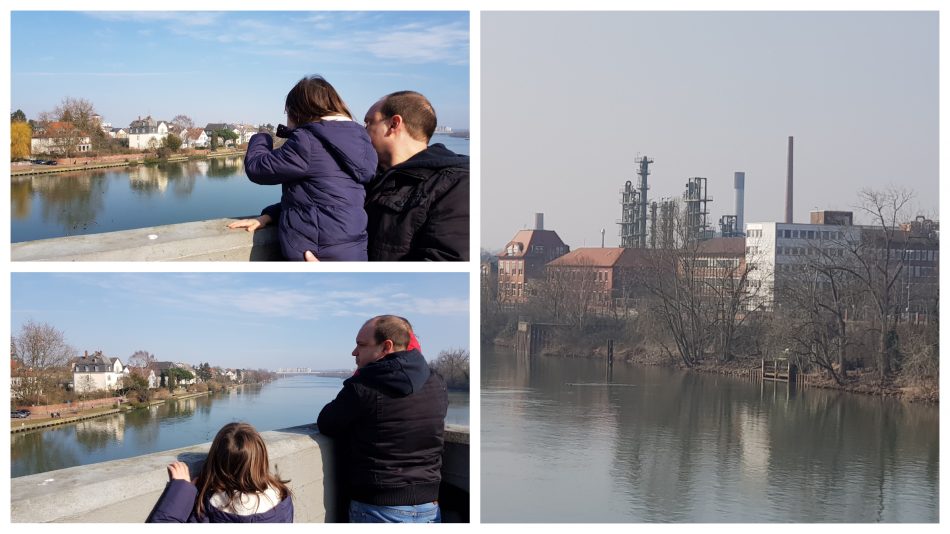 Ausblick von der Staustufe und Schleuse Griesheim bei Frankfurt am Main