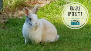 Unser Kaninchen Max - Unser Osterhase