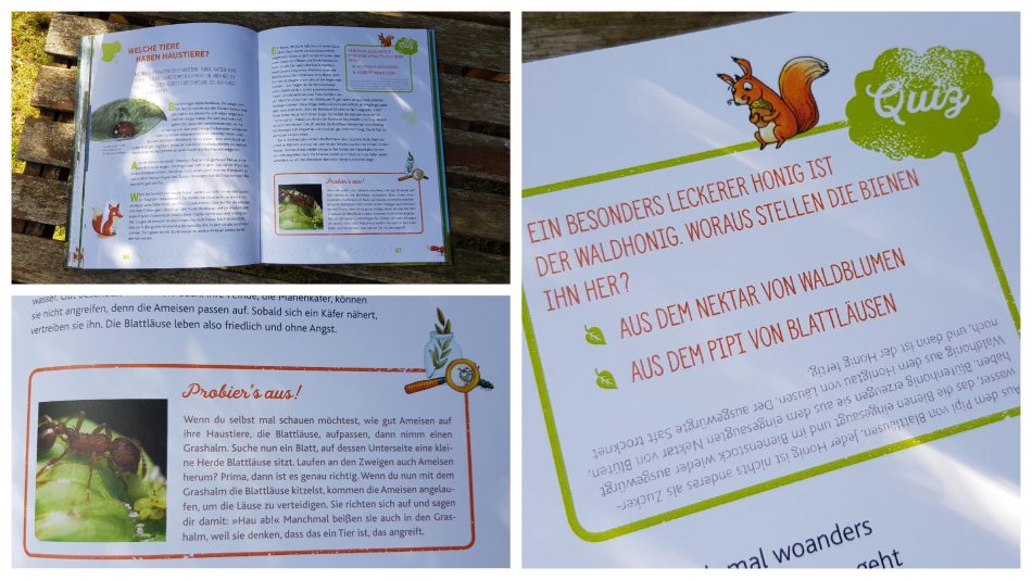 Bilder vom Buch "Hörst du, wie die Bäume sprechen"