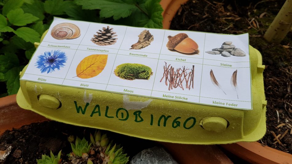 Unsere Waldbingo-Box