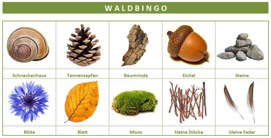 Unser fertiges Waldbingo