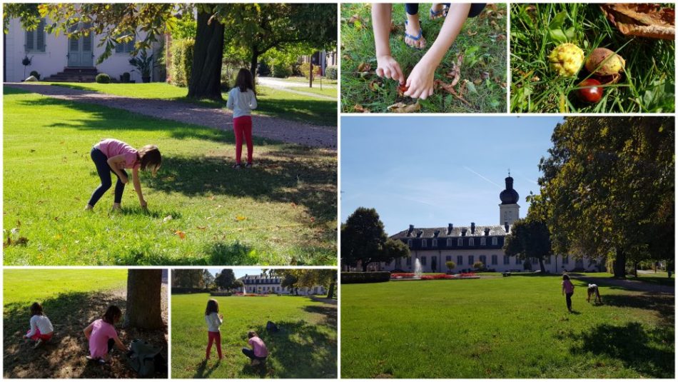 Wir sammeln Kastanien im Schlosspark Braunshardt