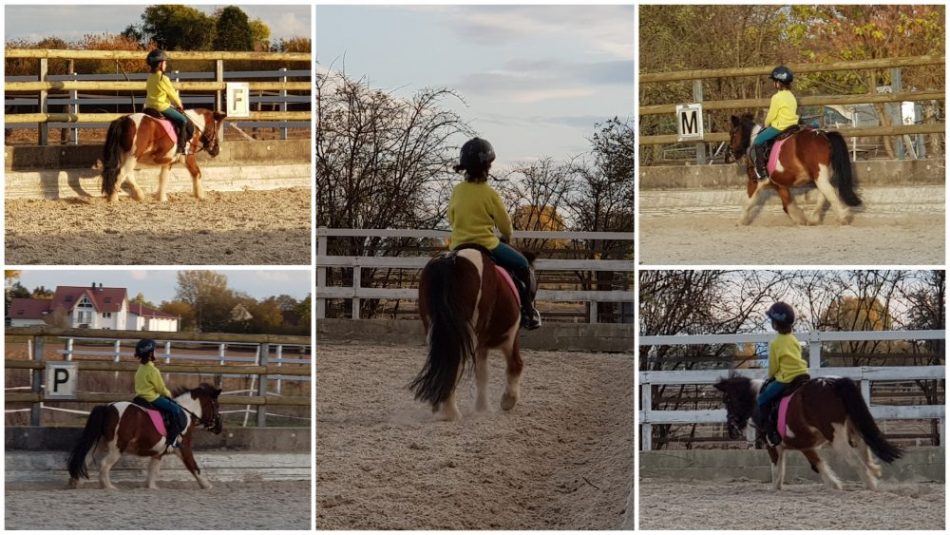 Unsere Große beim Reiten