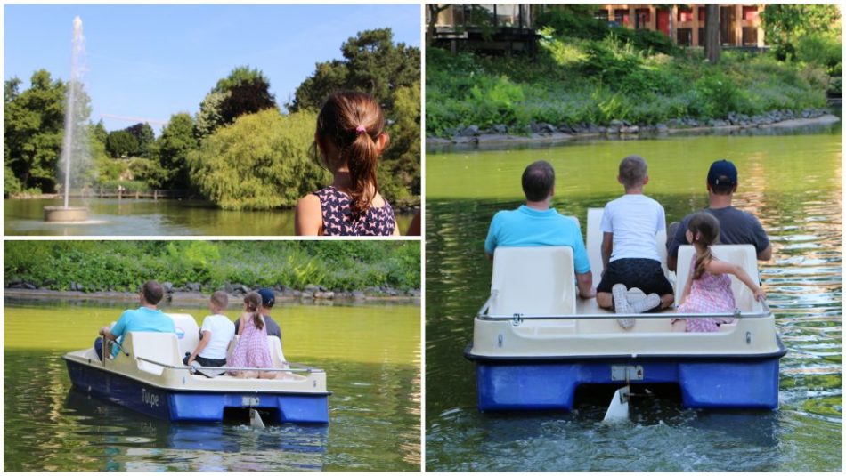 Der Bootsweiher im Palmengarten in Frankfurt