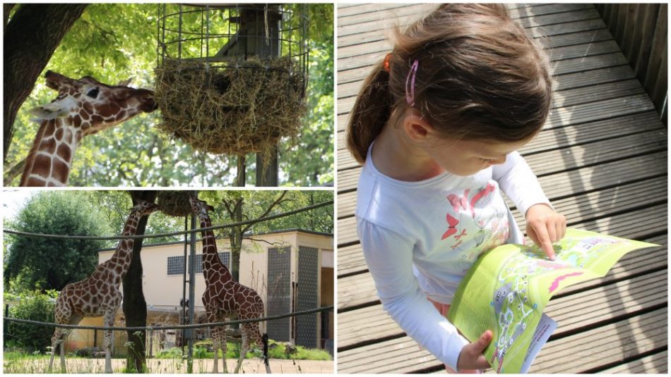 Impressionen aus dem Zoo Frankfurt