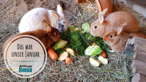 Das war unser Januar