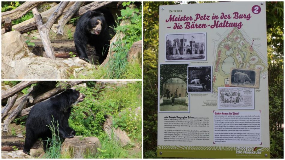 Das Ukumari-Land im Zoo Frankfurt